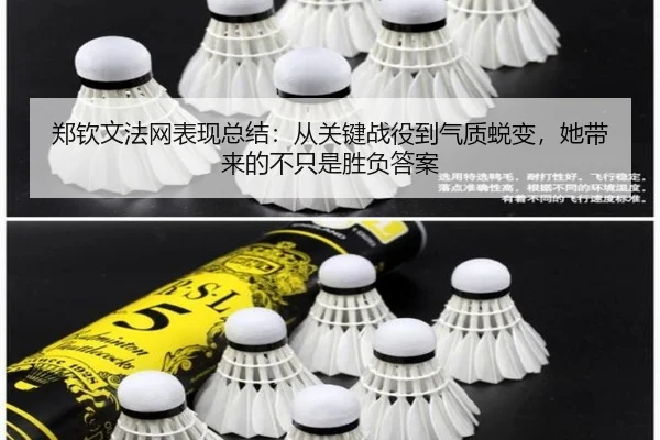 郑钦文法网表现总结：从关键战役到气质蜕变，她带来的不只是胜负答案